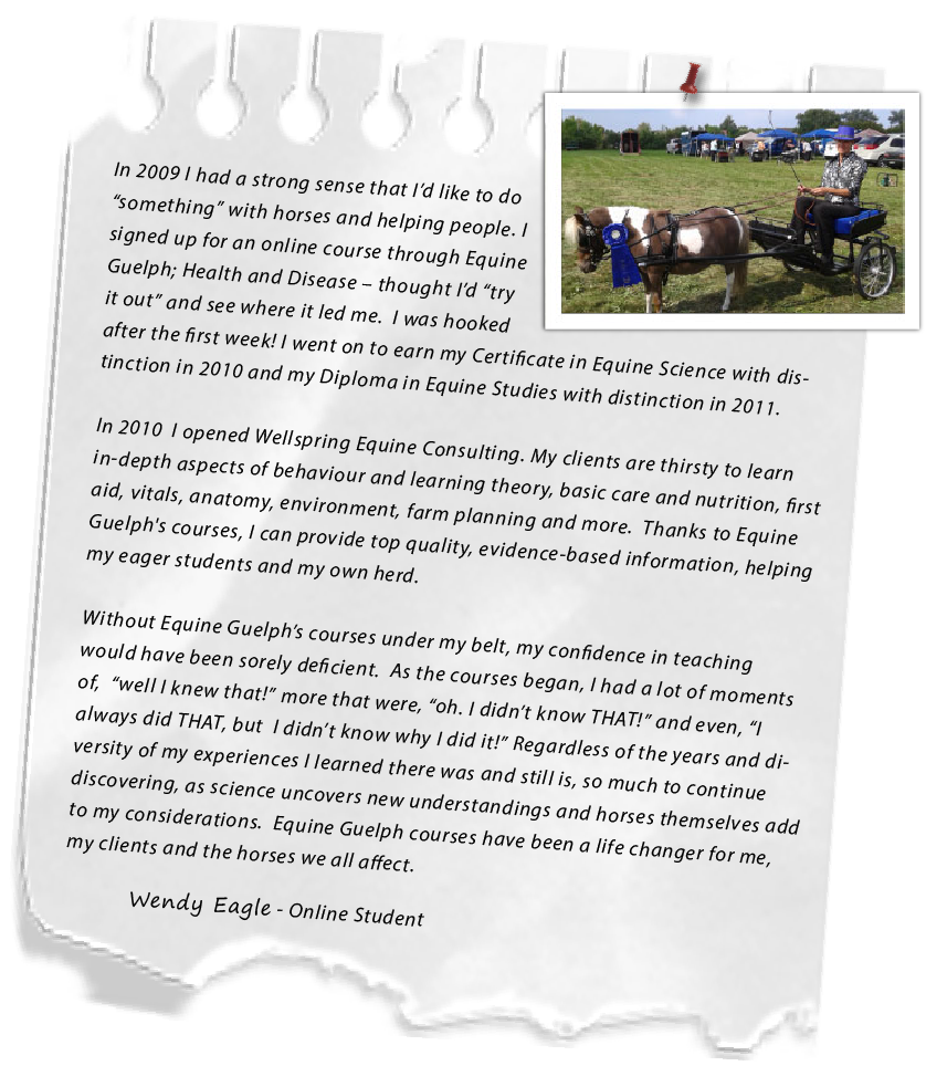 Wendy - Wellspring Equine Consultant testimonial