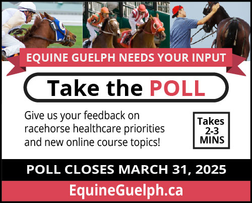 (link) Equine Guelphm Needs your Input - Take the Poll