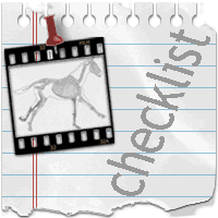 LAMENESS CHECKLIST icon